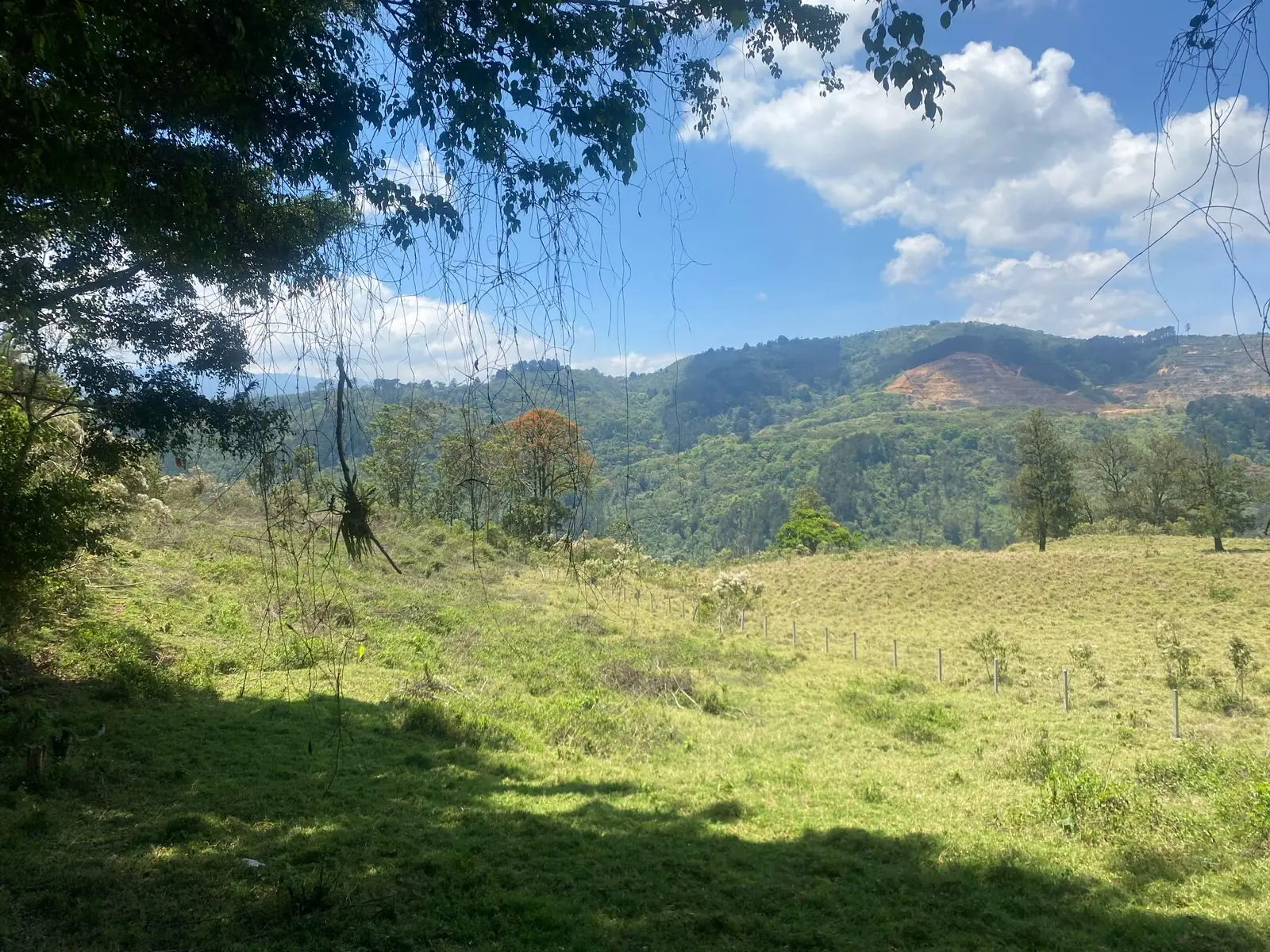 Finca Vista vista 3